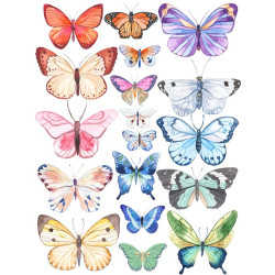 Print ButterFly Vlinders 5...